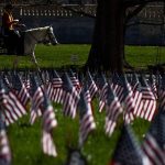 A horse with a saddle blanket emblazoned with the words Justice