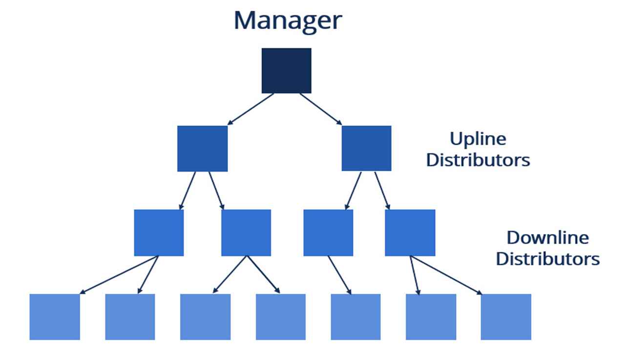 multi level marketing work